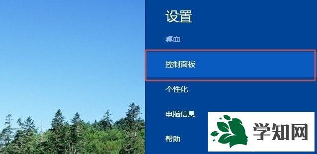win8.1系统如何设置用左手使用鼠标 图2
