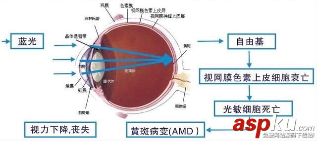 护眼显示器