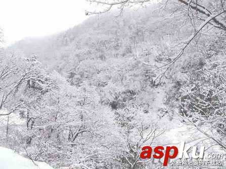 液晶屏,参数