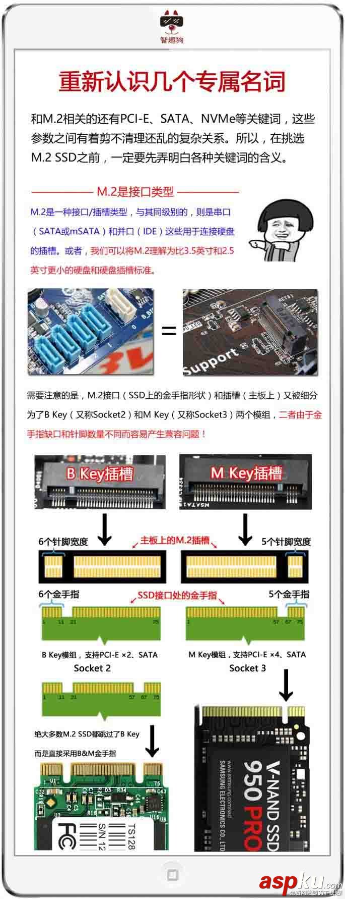SSD