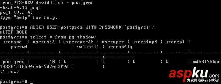 CentOS 6.3下PostgreSQL 的安装与配置