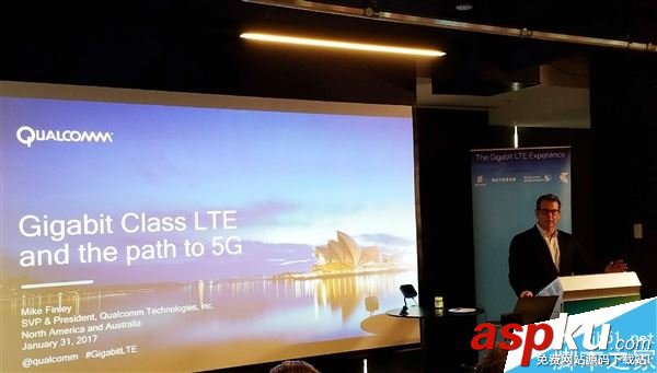 全球,LTE网络