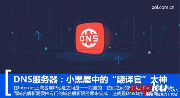 DNS服务器