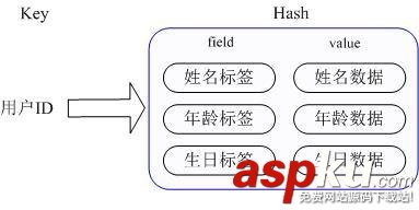 Redis数据库的应用场景介绍