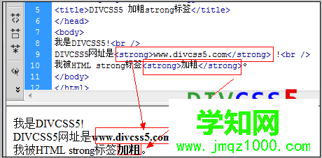 strong加粗案例展示