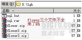 Bat脚本处理ftp超强案例分析 Bat脚本处理