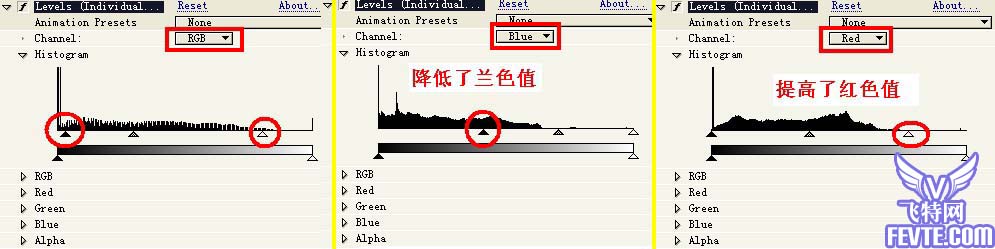 AE+3D MAX制作湘潭电视台都市频道片头 武林网 