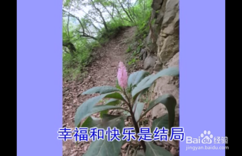 把照片或视频制作成带歌词的mtv视频方法！