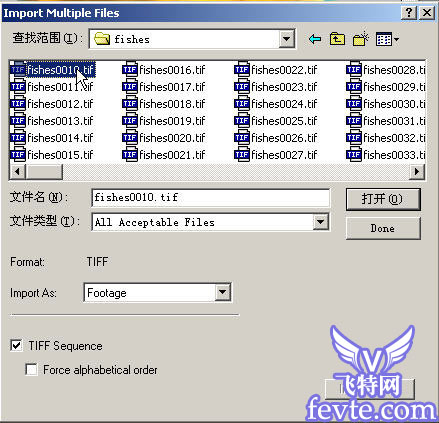 particleIllusion和After Effects打造梦幻水族 武林网›