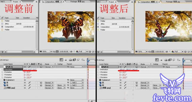 用AE给视频合成飞舞的蝴蝶 飞特网 AE实例额教程