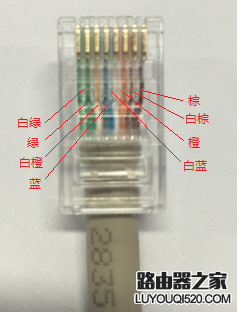 如何正确的查看网线线序？