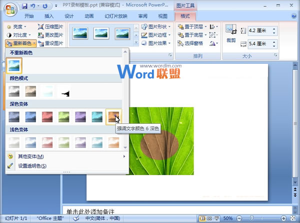 PowerPoint2007中图片烧焦效果的制作