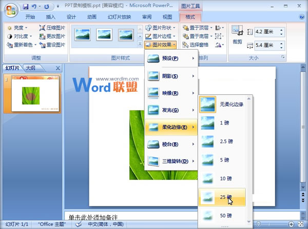 PowerPoint2007中图片烧焦效果的制作