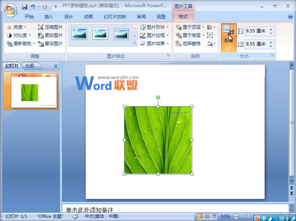 PowerPoint2007中图片烧焦效果的制作