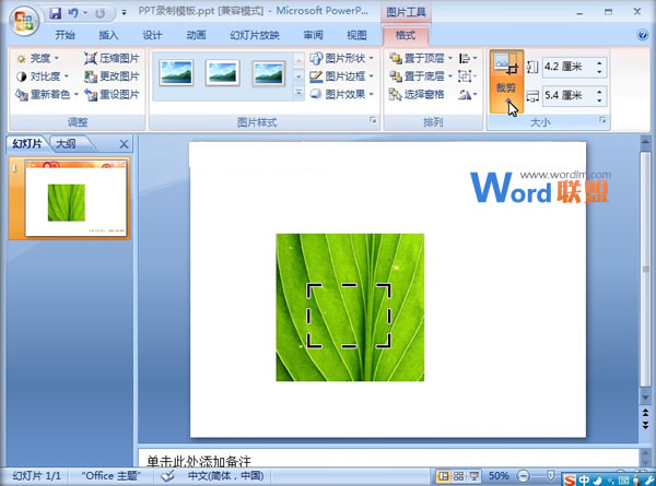 PowerPoint2007中图片烧焦效果的制作