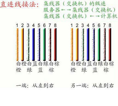 网线接头顺序是什么