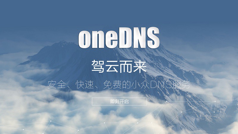 OneDNS怎么设置？ 武林网