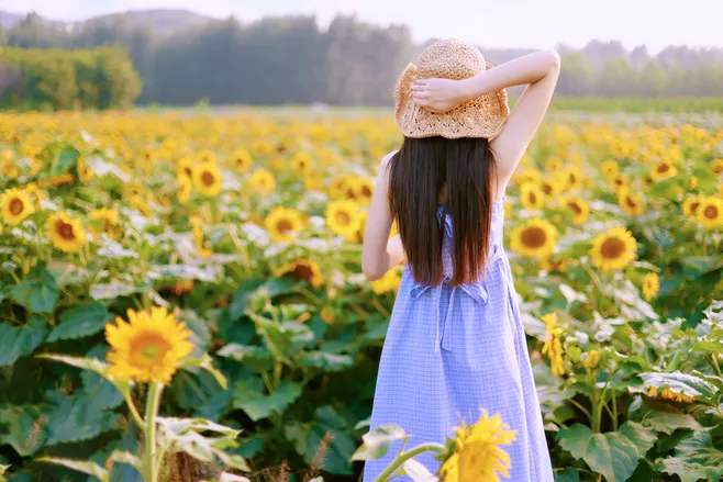 夏日图赏：初夏若雨等花开