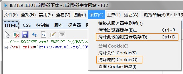 删除IE中单个网站域的缓存和Cookie 武林网