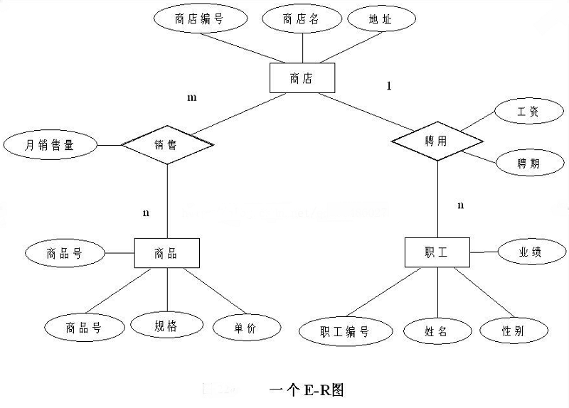 C语言,E-R图