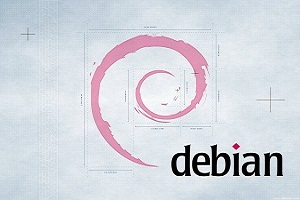 Debian下手动安装LiteSpeed+PHP+MySQL教程 武林网教程
