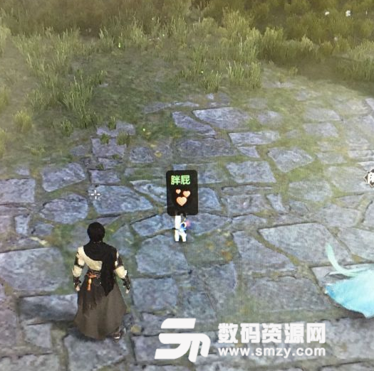 逆水寒神侯府猫宠攻略笔记
