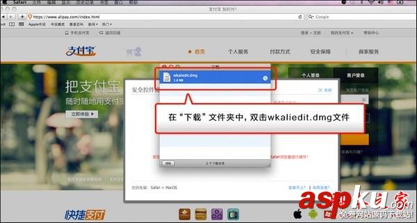 支付宝,安全控件,MAC