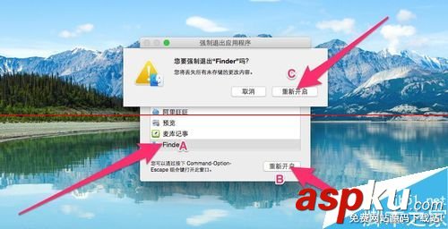 苹果,Mac,语言