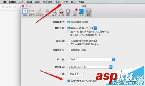 MAC,safari,开发者模式