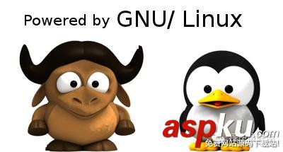 linux,探索
