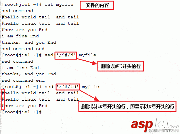 linux,sed