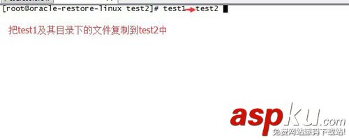 linux,复制文件夹,linux复制文件夹命令,linux复制整个文件