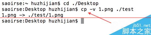 Linux,指令