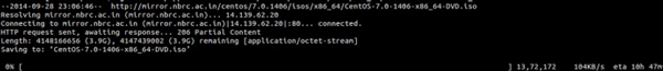 Linux,wget