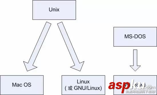 linux,探索