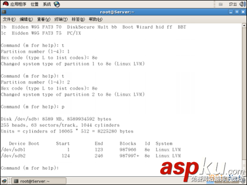 Linux,LVM
