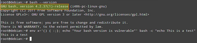 Linux,bash,漏洞