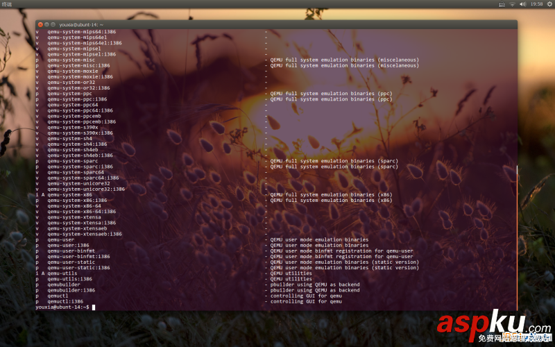Linux折腾记,虚拟机,QEMU