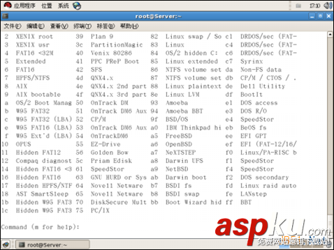 Linux,LVM