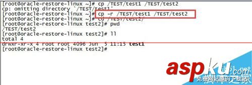 Linux,cp命令