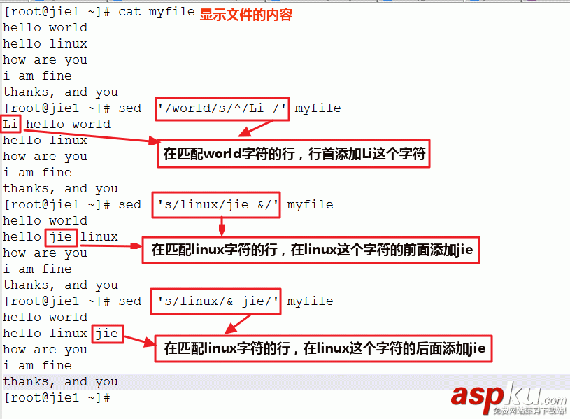 linux,sed