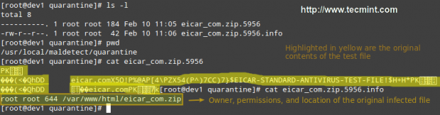 Linux,扫描,杀毒
