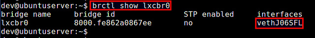 Ubuntu,容器
