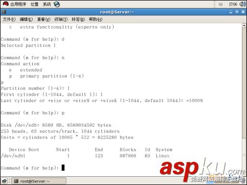 Linux,LVM