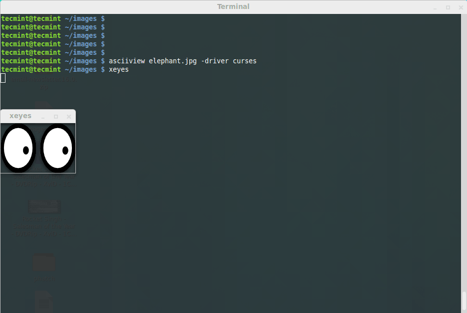 Linux,终端