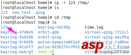 Linux,omitting,directory