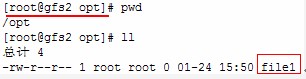 gfs,linux