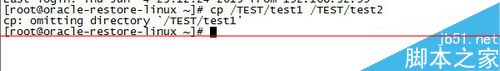 Linux,cp命令