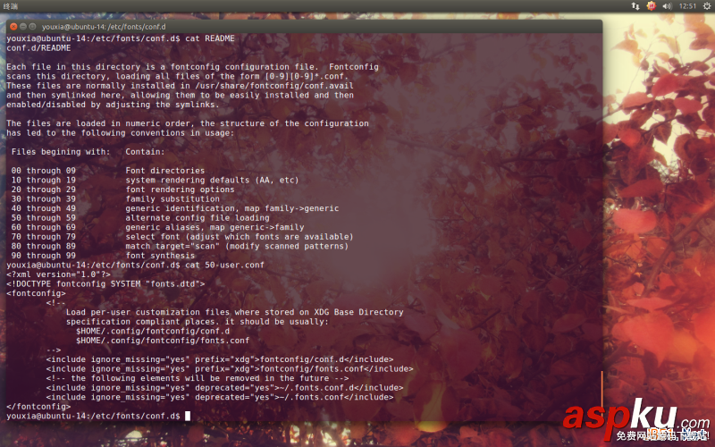 Linux折腾记,Ubuntu,14.10,使用Windows字体