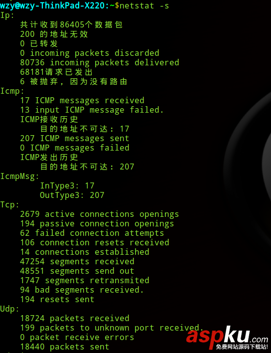 Linux,netstat